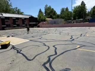 Asphalt parking lot with decorative curved line striping and custom pavement markings